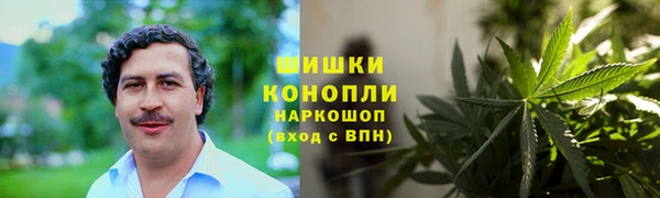 ГАЛЛЮЦИНОГЕННЫЕ ГРИБЫ Надым
