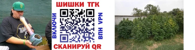 купить закладку  Кириллов  МАРИХУАНА White Widow 